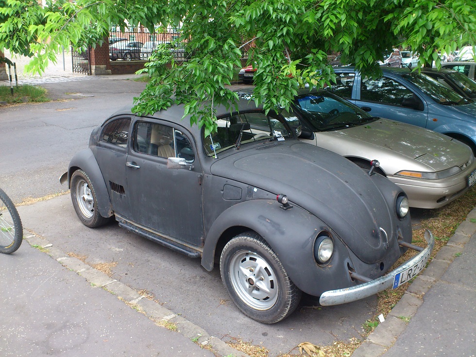 VW rat2.jpg