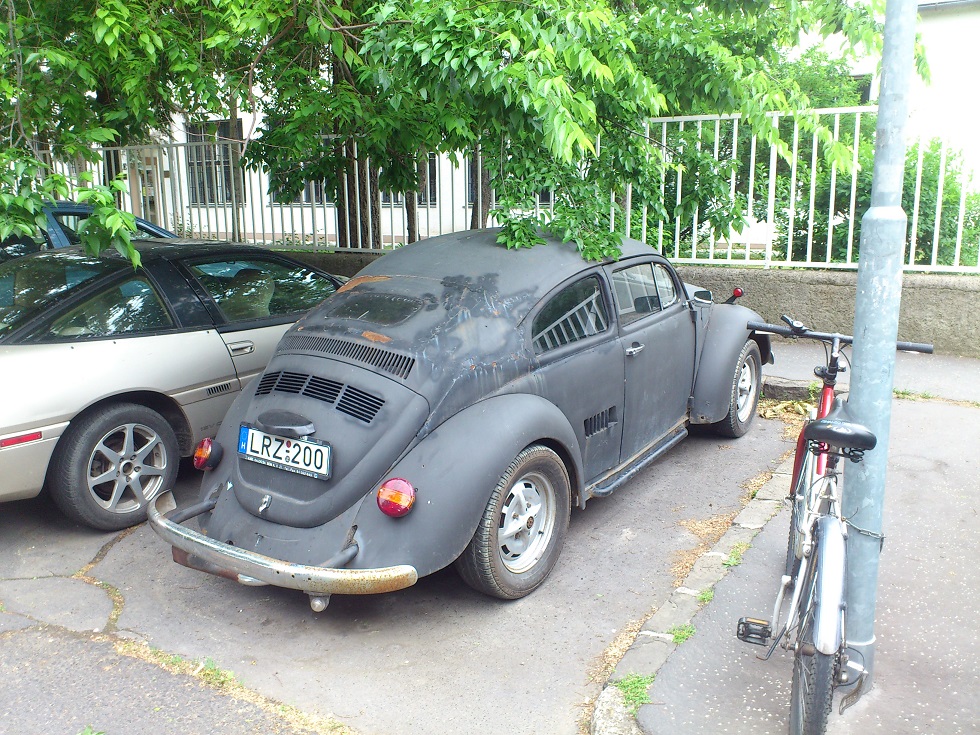 VW rat1.jpg