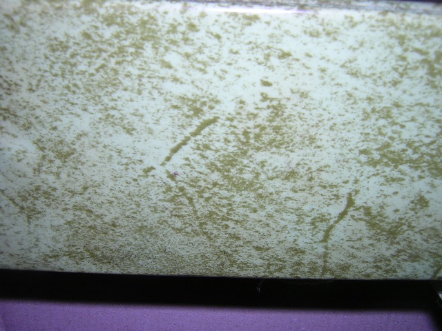 DSCN7701.JPG