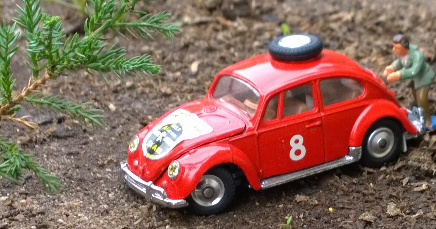 vw close ups (1).jpg