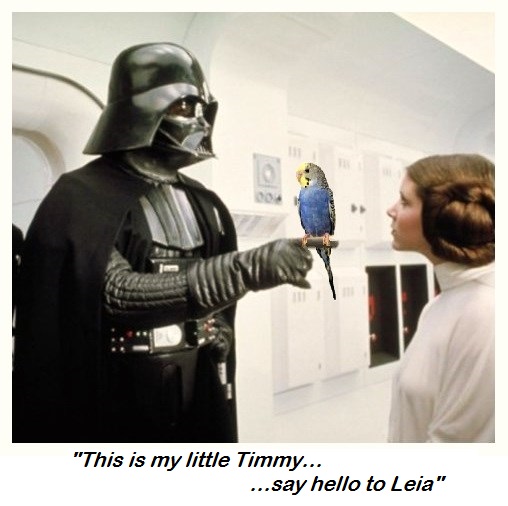 Darth, Timmy and Leia.jpg