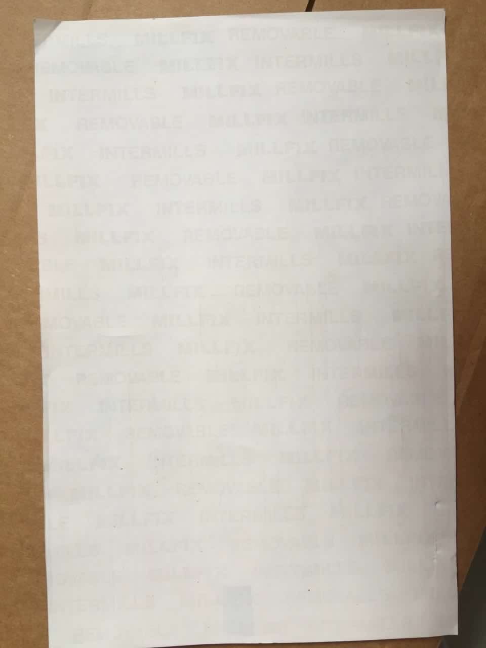 back.jpg