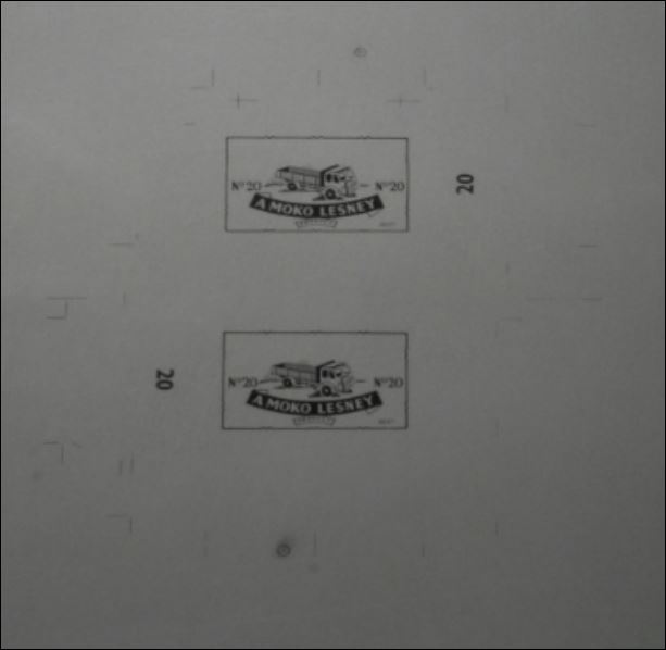 1 20a close up from larger plate.JPG