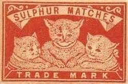 Matchbox cats.jpg