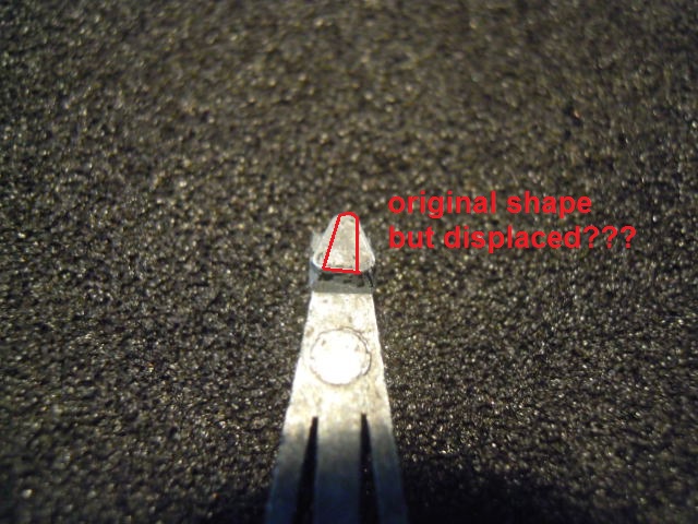DSCN5506.JPG
