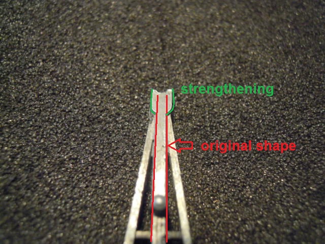 DSCN5505.JPG