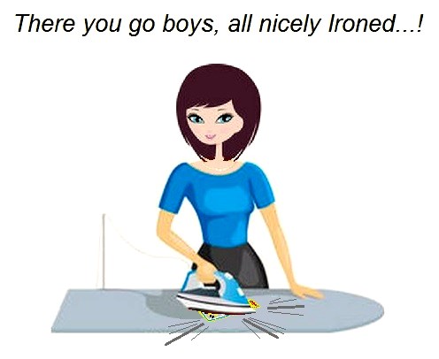 Numi gets to work on Ironing...!.JPG